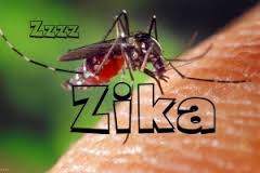 Zika Köle Irk mı?