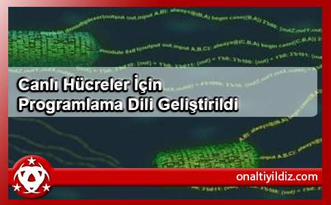 Canlı Hücreler İçin Programlama Dili Geliştirildi