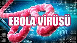 Ebola'ya Çözüm Bulundu