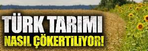 Türk Tarımı Nasıl Çökertiliyor !