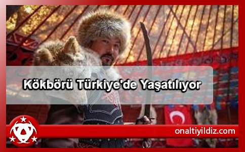 Kökbörü Türkiye'de Yaşatılıyor