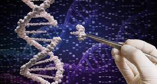 İlik Nakli Olan Adamın Spermleri, Artık Donörün DNA’sını Taşıyor