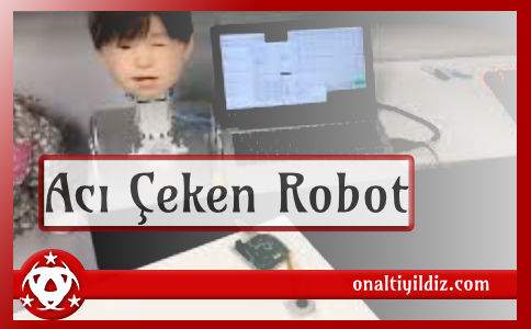 Acı Çeken Robot