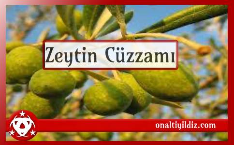 Zeytin Cüzzamı