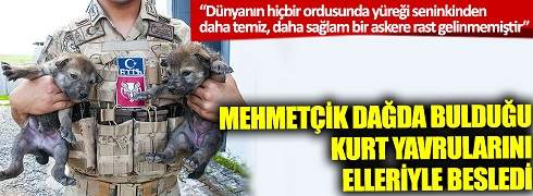 Mehmetçik Dağda Bulduğu Kurt Yavrularını Elleriyle Besledi