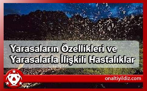 Yarasaların Özellikleri ve Yarasalarla İlişkili Hastalıklar