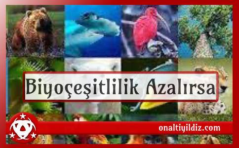 Biyoçeşitlilik Azalırsa