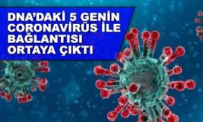 DNA’daki 5 Genin Corona Virüs ile Bağlantısı