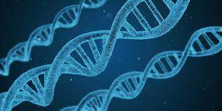 Yaşamın Temeli DNA ve RNA'ya Değil, XNA'ya Dayanıyor