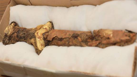 Kazakistan’da erken Demir Çağı’nda kullanılan taş sunak ve altınla kaplanmış tören kılıcı keşfedildi