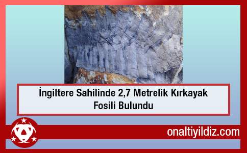 İngiltere Sahilinde 2,7 Metrelik Kırkayak Fosili Bulundu