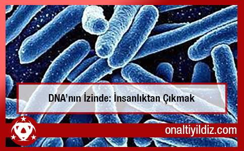 DNA'nın İzinde: İnsanlıktan Çıkmak
