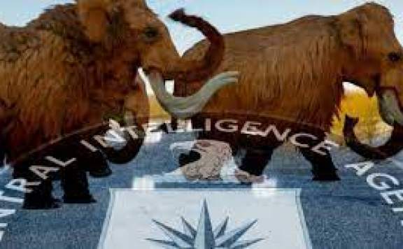 CIA, Yünlü Mamutları Geri Getirmek için Yatırım Yaptı