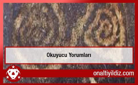 Okuyucu Yorumları: Cevap