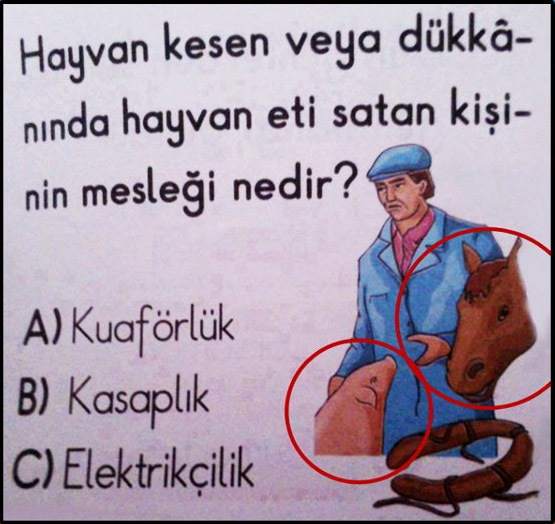 4234.jpg