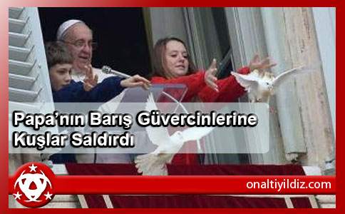 Papa’nın Barış Güvercinlerine Kuşlar Saldırdı