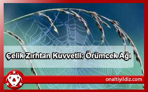 Çelik Zırhtan Kuvvetli: Örümcek Ağı