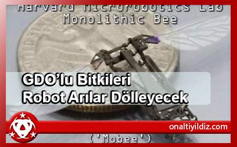 GDO’lu Bitkileri Robot Arılar Dölleyecek