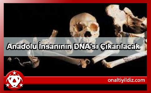 Anadolu İnsanının DNA'sı Çıkarılacak