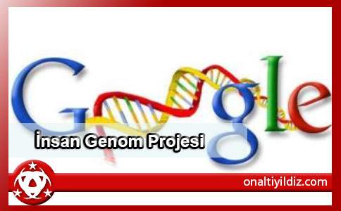 İnsan Genom Projesi