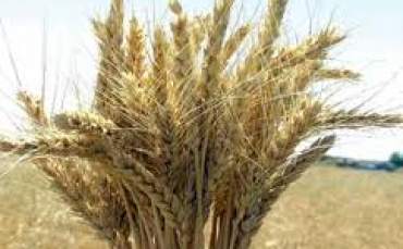 Gıda Stoku Yapmalıyız