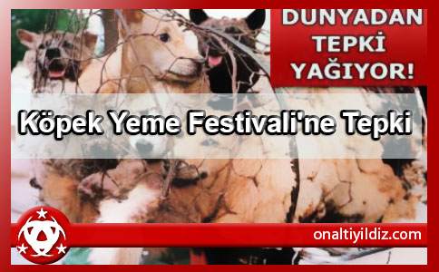 Köpek Yeme Festivali'ne Tepki