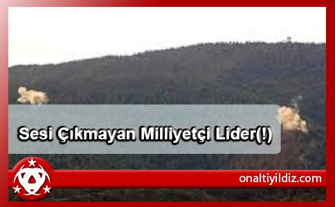 Sesi Çıkmayan Milliyetçi Lider(!)