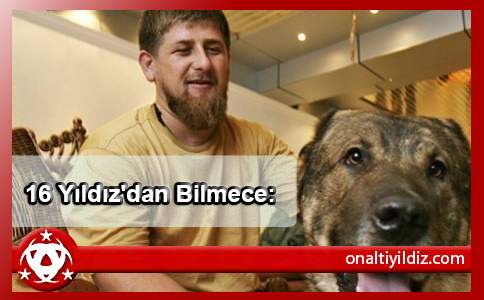 16 Yıldız'dan Bilmece: