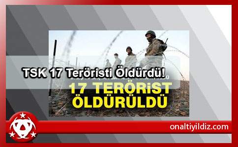 TSK 17 Teröristi Öldürdü!