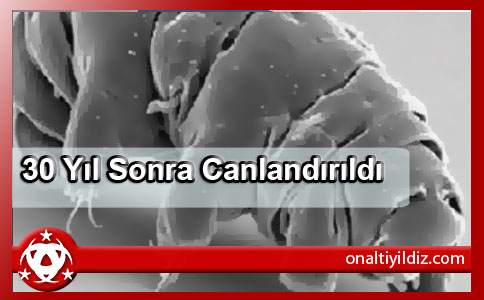 30 Yıl Sonra Canlandırıldı