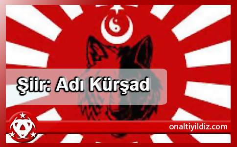 Şiir: Adı Kürşad