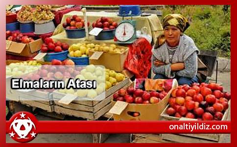 Elmaların Atası