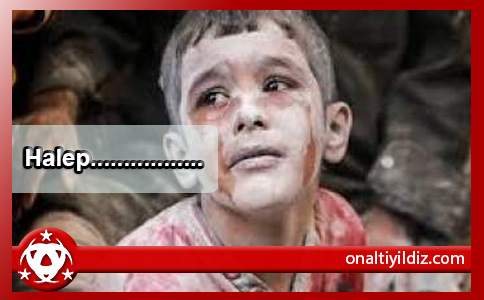 Halep.................