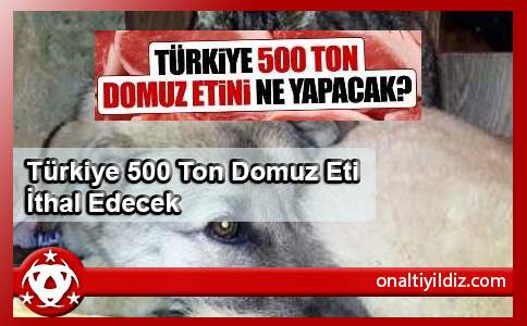 Türkiye 500 Ton Domuz Eti İthal Edecek