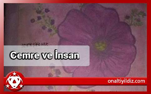 Cemre  ve İnsan