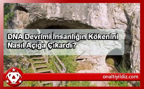 DNA Devrimi İnsanlığın Kökenini Nasıl Açığa Çıkardı?