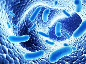 Sentetik Bakteriler Arasında İletişim Kuruldu