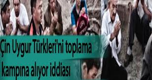 Çin Uygur Türkleri'ni Toplama Kampına Alıyor İddiası