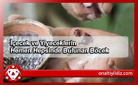 İçecek ve Yiyeceklerin Hemen Hepsinde Bulunan Böcek