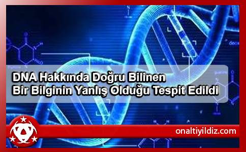  DNA Hakkında Doğru Bilinen Bir Bilginin Yanlış Olduğu Tespit Edildi