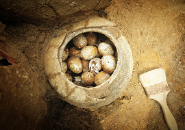 2500 Yıllık Kırılmamış Yumurtalar Bulundu