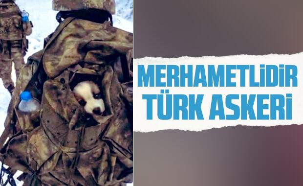O Bir Mehmetçik