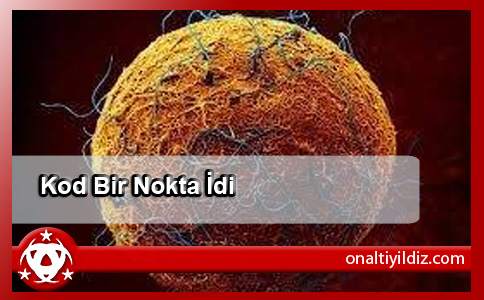 Kod Bir Nokta İdi