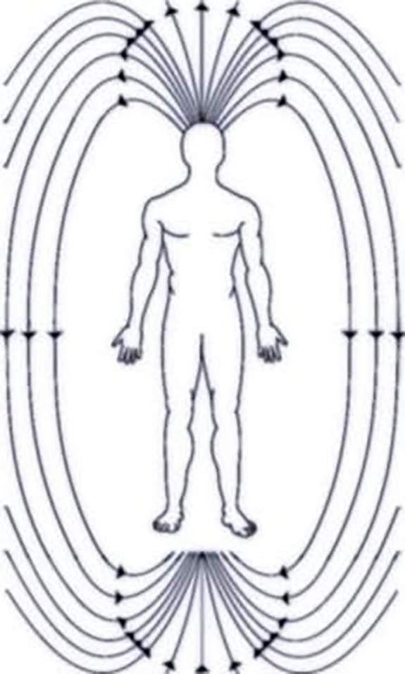Локальное воздействие постоянного магнитного поля на человека. Спектр магнитного поля человека. Магнитное поле человека.