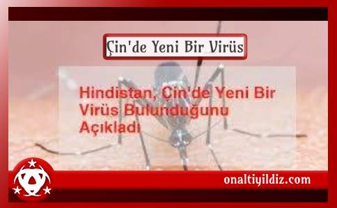 Çin'de Yeni Bir Virüs