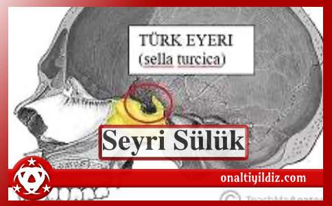 Seyri Sülük