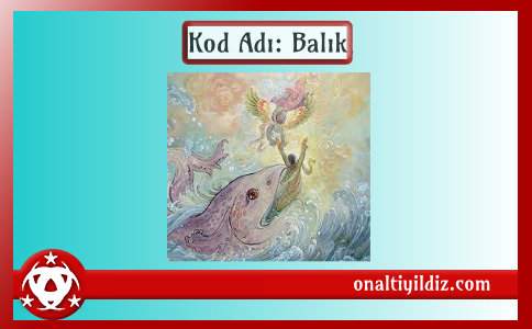 Kod Adı: Balık