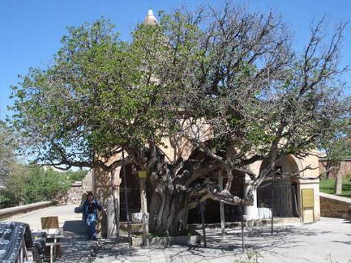 Hacı Bektaş  Veli ve Kara Dut