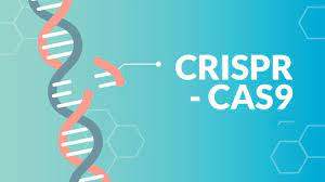 CRISPR / Cas9 Nedir?