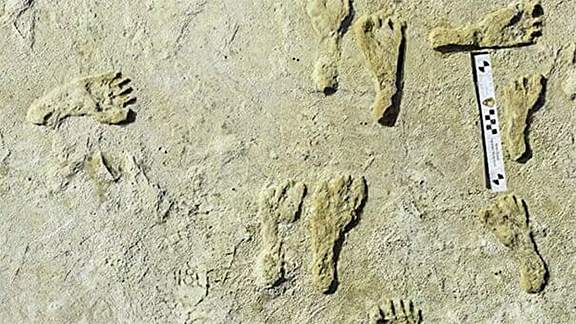 Kuzey Amerika'daki 'En Eski' İnsan Ayak İzleri Keşfedildi